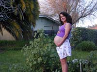 Dscn0004.jpg (16191 bytes)