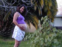 Dscn0005.jpg (17424 bytes)