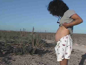 UrsBajaBelly.jpg (26064 bytes)