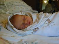 Dscn0003.jpg (11990 bytes)