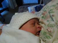 Dscn0008.jpg (12082 bytes)