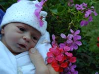 Dscn0013.jpg (15564 bytes)