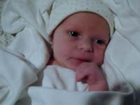 Dscn0018.jpg (10576 bytes)